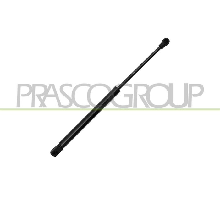 LIBRETTO_RICHIESTA_TARGA.JPG Molla A Gas Destra/Sinistra Cofano 350 N L 374 Mm C 140 Mm Ø 18 Mm Ø 8 Mm BMW 1 SERIES E87/E81 Dal 