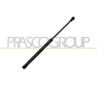 LIBRETTO_RICHIESTA_TARGA.JPG Molla A Gas Destra/Sinistra Cofano 350 N L 374 Mm C 140 Mm Ø 18 Mm Ø 8 Mm BMW 1 SERIES E87/E81 Dal 