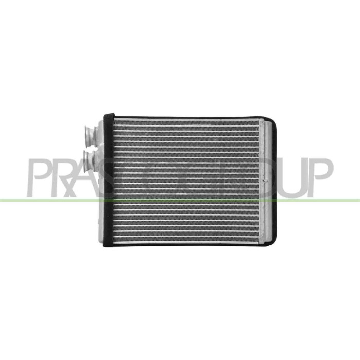 NEUTRO.jpg Riscaldatore Compatibile Per CITROEN C3 Dal 09/2009 Al 05/2013 Codice Originale 6448.V3