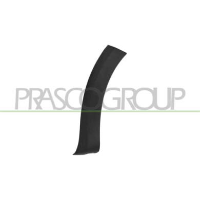 NEUTRO.jpg Parafanghino Anteriore Sinistro Parte Anteriore Compatibile Per DACIA SANDERO STEPWAY Dal 12/2016 Al 05/2020 96017284