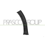 LIBRETTO_RICHIESTA_TARGA.JPG Parafanghino Anteriore Sinistro Parte Anteriore Compatibile Per DACIA SANDERO STEPWAY Dal 12/2016 A
