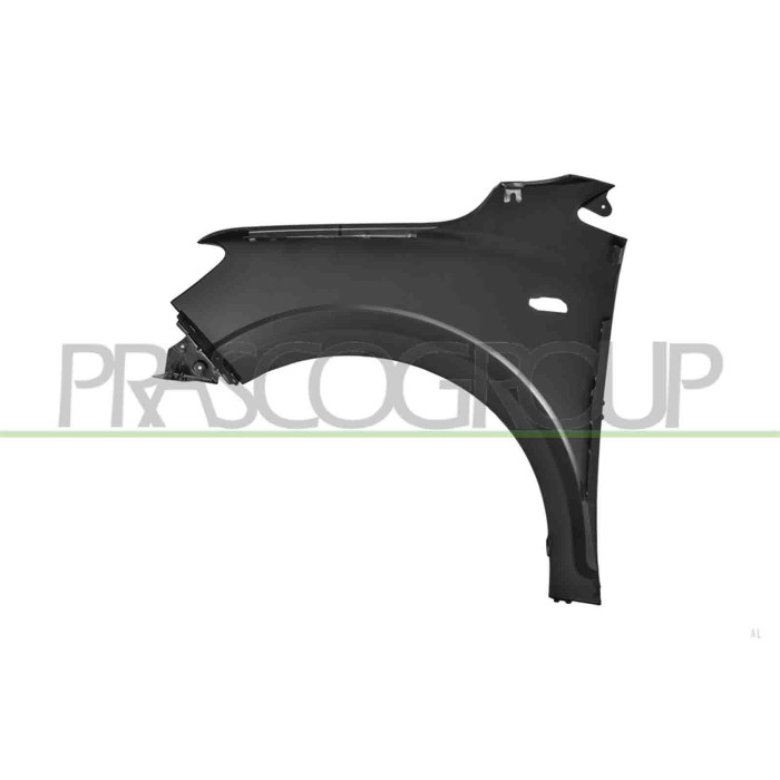 LIBRETTO_RICHIESTA_TARGA.JPG Parafango Anteriore Destro Con Foro Lucciola Compatibile Per DACIA SANDERO Dal 06/2020 in poi Codic
