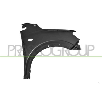 LIBRETTO_RICHIESTA_TARGA.JPG Parafango Anteriore Sinistro Con Fori Lucciola E Parafanghino DACIA SANDERO STEPWAY Dal 06/2020 in 