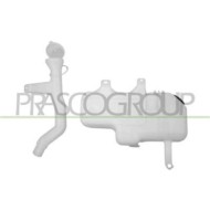 DS810VA01_1.JPG Vaschetta Acqua Tergicristallo Con Motore Compatibile Per NISSAN NAVARA KING CAB Dal 09/1997 Al 12/2001 289102S4