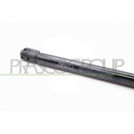 AD0229065_3.JPG Molla A Gas Destra O Sinistra Portellone Posteriore Per Audi A4 (b7) Dal 2004 Al 2007