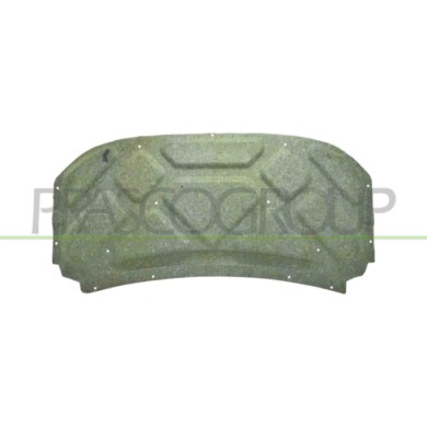 NEUTRO.jpg Pannello Insonorizzatore Cofano Compatibile Per FORD MONDEO Dal 09/2000 Al 12/2003 Codice Originale 1215993