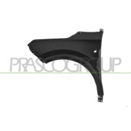 LIBRETTO_RICHIESTA_TARGA.JPG Parafango Anteriore Destro Con Foro Lucciola Compatibile Per FORD TRANSIT/TOURNEO COURIER (C4A) Dal