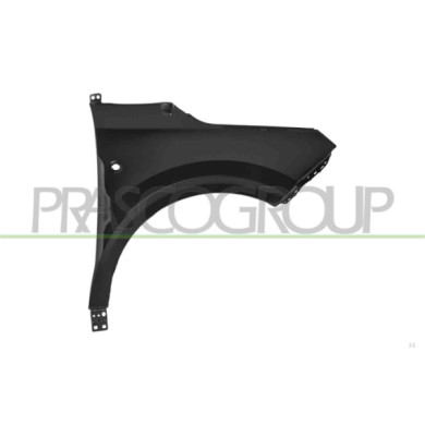 LIBRETTO_RICHIESTA_TARGA.JPG Parafango Anteriore Sinistro Con Foro Lucciola Compatibile Per FORD TRANSIT/TOURNEO COURIER (C4A) D