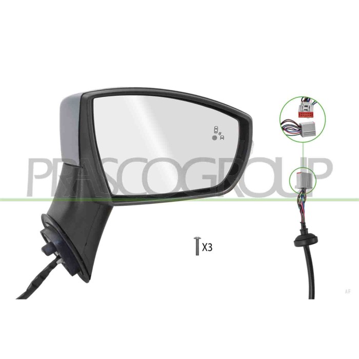 LIBRETTO_RICHIESTA_TARGA.JPG Retrovisore Destro Elettrico Con Primer Termico Con Fanale Con Blis Convesso 9 Pins FORD ECOSPORT D