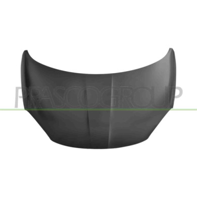 LIBRETTO_RICHIESTA_TARGA.JPG Cofano Compatibile Per FIAT 500X Dal 01/2015 Al 10/2018 Codice Originale 52111389