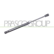 AD0249055_2.JPG Molla A Gas Destra O Sinistra Portellone Posteriore Per Audi A4 (b6) Dal 2000 Al 2004