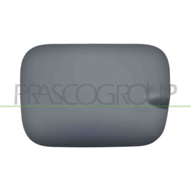 NEUTRO.jpg Sportello Serbatoio Con Primer Compatibile Per FIAT PANDA Dal 01/2012 in poi Codice Originale 51845959