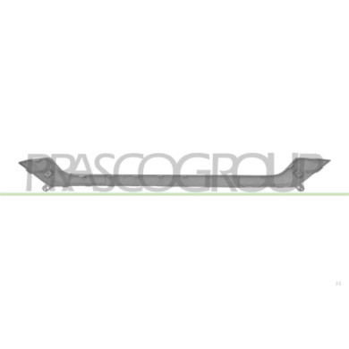 LIBRETTO_RICHIESTA_TARGA.JPG Modanatura Paraurti Anteriore Centrale Argento Compatibile Per FIAT TIPO CROSS (AEGEA) Dal 12/2020 