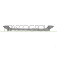 LIBRETTO_RICHIESTA_TARGA.JPG Modanatura Paraurti Anteriore Centrale Argento Compatibile Per FIAT TIPO CROSS (AEGEA) Dal 12/2020 