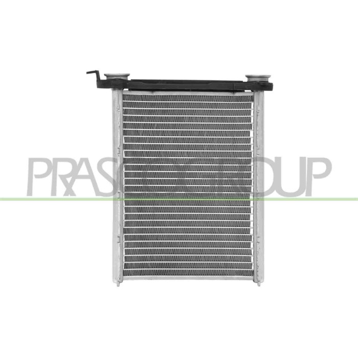 LIBRETTO_RICHIESTA_TARGA.JPG Riscaldatore Compatibile Per FIAT TALENTO Dal 06/2016 in poi Codice Originale 95517541