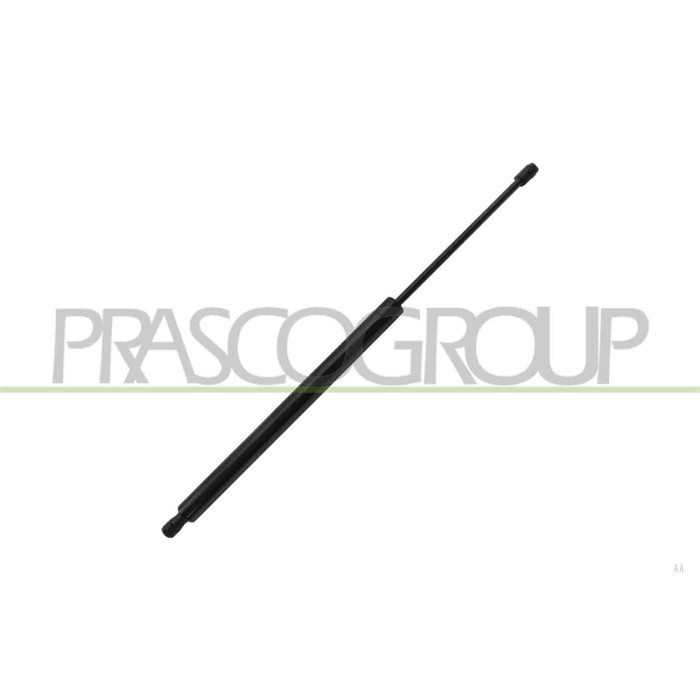 LIBRETTO_RICHIESTA_TARGA.JPG Molla A Gas Destra/Sinistra Lunotto Posteriore 620 N L 630 Mm C 230 Mm Ø 27 Mm Ø 10 Mm CITROEN BERL