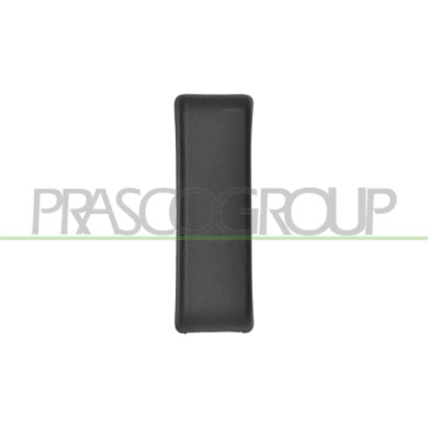 DX_SCRITTA_LOGO.jpg Modanatura Montante Anteriore Destro/Sinistro Nera Goffrata Con Clips Di Fissaggio FIAT DUCATO Dal 01/2002 A