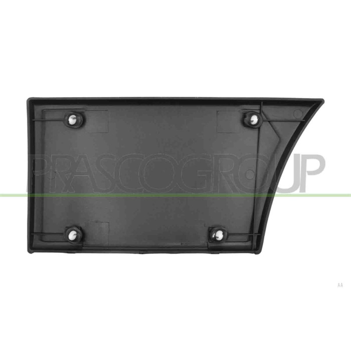 LIBRETTO_RICHIESTA_TARGA.JPG Modanatura Parafango Posteriore Destro Parte Anteriore Nera Goffrata Clips Mod. Passo Lungo FIAT DU