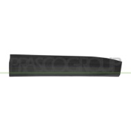 DX_SCRITTA_LOGO.jpg Modanatura Porta Anteriore Destra Nera Goffrata Compatibile Per HYUNDAI SANTA FE (DM) Dal 10/2012 Al 12/2015