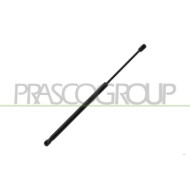 LIBRETTO_RICHIESTA_TARGA.JPG Molla A Gas Destra/Sinistra Portellone Posteriore 460 N L 498 Mm C 179 Mm Ø 18 Mm Ø 8 Mm JEEP RENEG