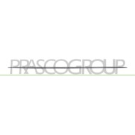 NEUTRO.jpg Modanatura Paraurti Anteriore Inferiore Cromata Compatibile Per MERCEDES B CLASS (W247) Dal 02/2019 in poi A247885480