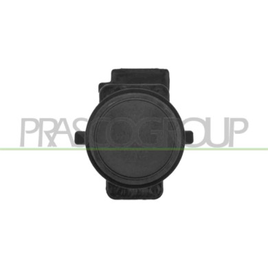 NEUTRO.jpg Tappo Sensore Griglia Radiatore Compatibile Per MERCEDES C CLASS AMG/AMG LINE (W206/S206) Dal 09/2021 in poi A2068887
