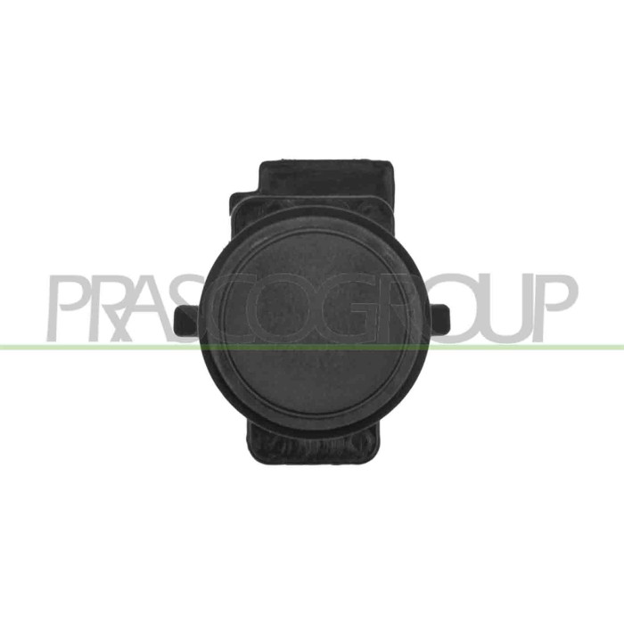NEUTRO.jpg Tappo Sensore Griglia Radiatore Compatibile Per MERCEDES C CLASS AMG/AMG LINE (W206/S206) Dal 09/2021 in poi A2068887