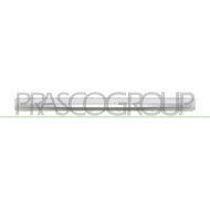 Modanatura Paraurti Posteriore Centrale Inferiore Argento MERCEDES C CLASS AMG/AMG LINE (W206/S206) Dal 09/2021 in poi