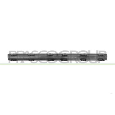 LIBRETTO_RICHIESTA_TARGA.JPG Modanatura Paraurti Posteriore Centrale Inferiore Argento MERCEDES C CLASS AMG/AMG LINE (W206/S206)