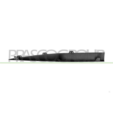 LIBRETTO_RICHIESTA_TARGA.JPG Modanatura Sinistra Longherone Sottoporta Parte Posteriore Nera Goffrato MERCEDES C CLASS AMG/AMG L