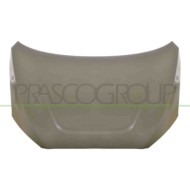 LIBRETTO_RICHIESTA_TARGA.JPG Cofano Compatibile Per MG 4 Dal 06/2022 in poi Codice Originale 10961100SPCP