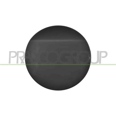 NEUTRO.jpg Sportello Serbatoio Compatibile Per OPEL/VAUXHALL ASTRA J (P10) Dal 12/2009 Al 12/2011 Codice Originale 13393677
