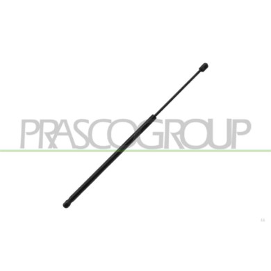 LIBRETTO_RICHIESTA_TARGA.JPG Molla A Gas Destra/Sinistra Portellone Posteriore 580 N L 622 Mm C 220 Mm Ø 18 Mm Ø 8 Mm CITROEN BE