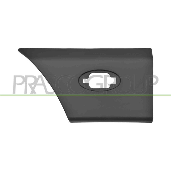 NEUTRO.jpg Modanatura Parafango Posteriore Sinistro Parte Posteriore Nera Goffrata Clips OPEL/VAUXHALL MOVANO 2010-2014