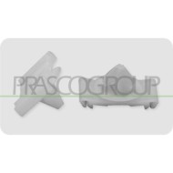 NEUTRO.jpg Clips Fissaggio Modanature (4 Pezzi) Compatibile Per CITROEN C4 Dal 10/2008 Al 10/2010 Codice Originale 856558