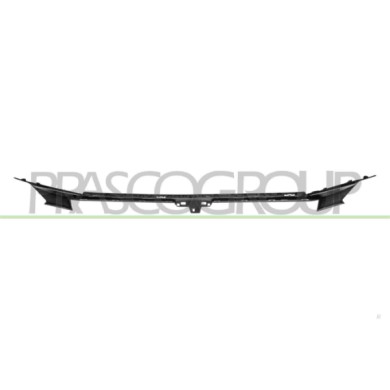 LIBRETTO_RICHIESTA_TARGA.JPG Modanatura Griglia Radiatore Superiore Nera Goffrata Compatibile Per PEUGEOT 208 Dal 12/2023 in poi