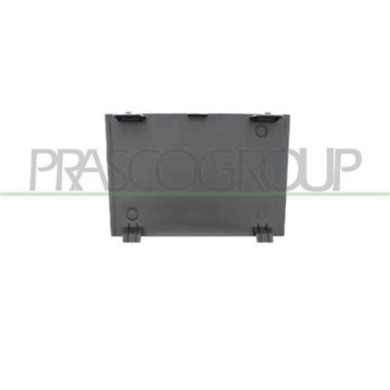 PG5241235_1.JPG Tappo Griglia Paraurti Anteriore Centrale Funzione Cruise Control Compatibile Per PEUGEOT 3008 Dal 04/2017 Al 09