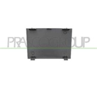 PG5241235_1.JPG Tappo Griglia Paraurti Anteriore Centrale Funzione Cruise Control Compatibile Per PEUGEOT 3008 Dal 04/2017 Al 09