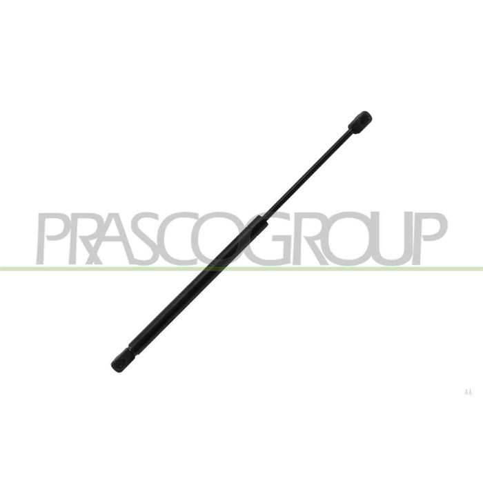 LIBRETTO_RICHIESTA_TARGA.JPG Molla A Gas Destra/Sinistra Portellone Posteriore 600 N L 432 Mm C 163 Mm Ø 18 Mm Ø 8 Mm RENAULT ME