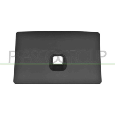 NEUTRO.jpg Copertura Serratura Cofano Plastica Compatibile Per TESLA MODEL Y Dal 04/2019 Al 05/2025 Codice Originale 149408600B