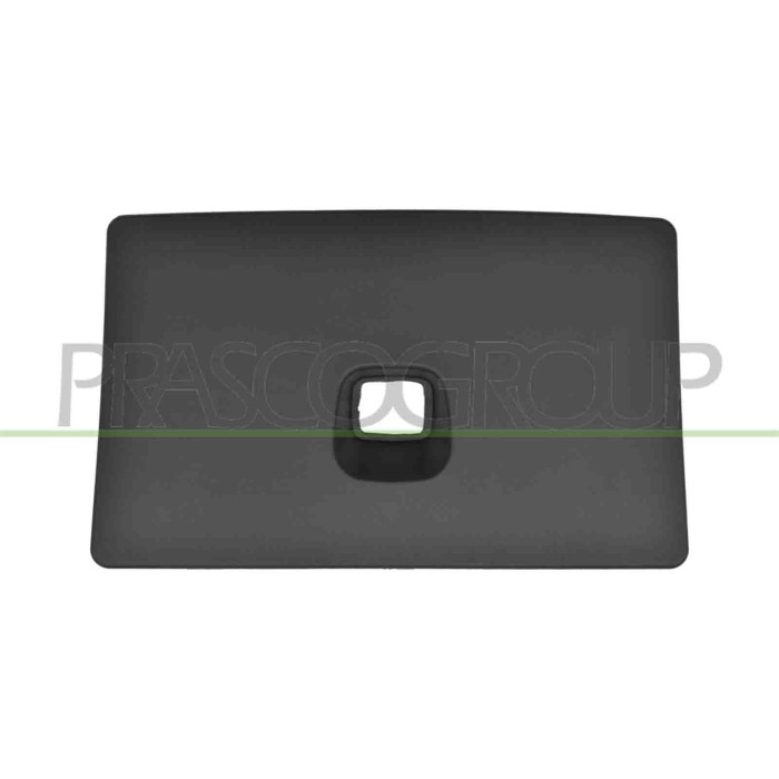 NEUTRO.jpg Copertura Serratura Cofano Plastica Compatibile Per TESLA MODEL Y Dal 04/2019 Al 05/2025 Codice Originale 149408600B