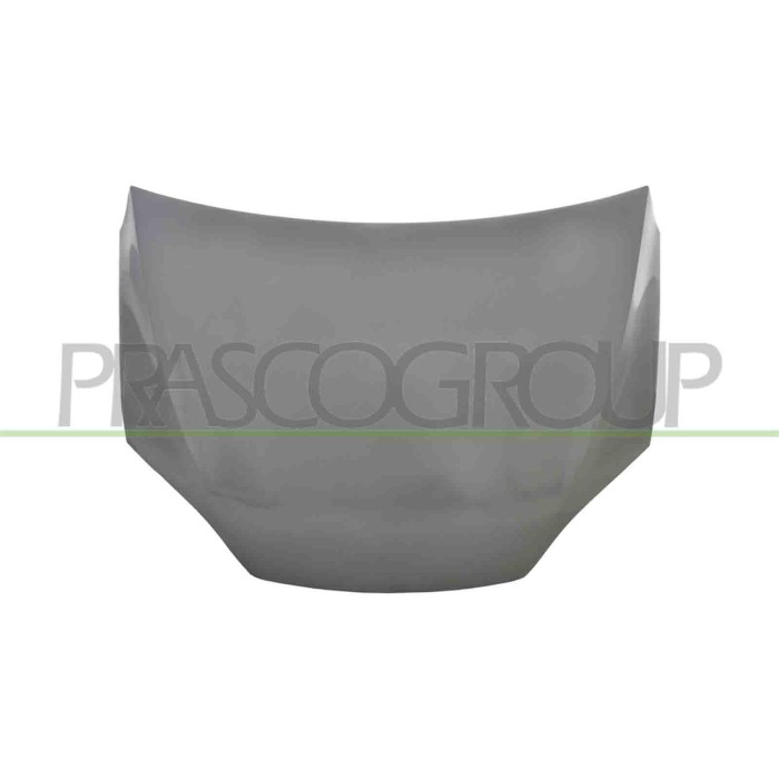 LIBRETTO_RICHIESTA_TARGA.JPG Cofano Compatibile Per TESLA MODEL X Dal 01/2016 Al 12/2020 Codice Originale 1069531-EO-C