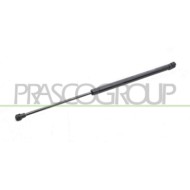 Molla A Gas Sinistra Portellone Posteriore 245 N L 502,5 Mm C 192,5 Mm Ø 18 Mm Ø 8 Mm TOYOTA YARIS Dal 04/1999 Al 02/2003