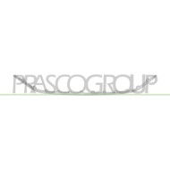 Modanatura Griglia Radiatore Inferiore Cromata Compatibile Per VOLKSWAGEN T-ROC Dal 03/2022 Al 12/2025 2GA853101C2ZZ
