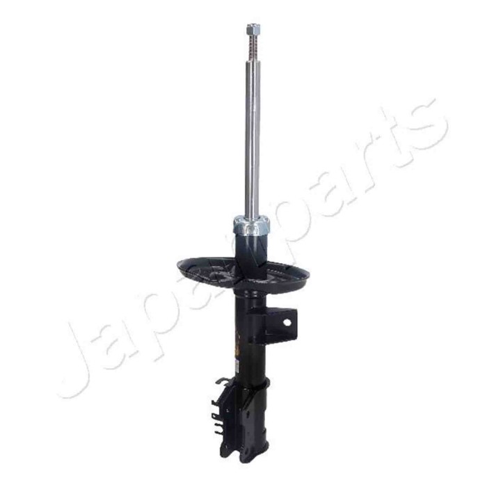 LIBRETTO_RICHIESTA_TARGA.JPG Ammortizzatore MM-00724 JAPANPARTS per FORD
