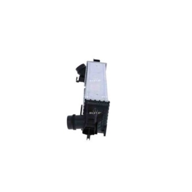 LIBRETTO_RICHIESTA_TARGA.JPG Intercooler 30946 NRF per BMW MINI