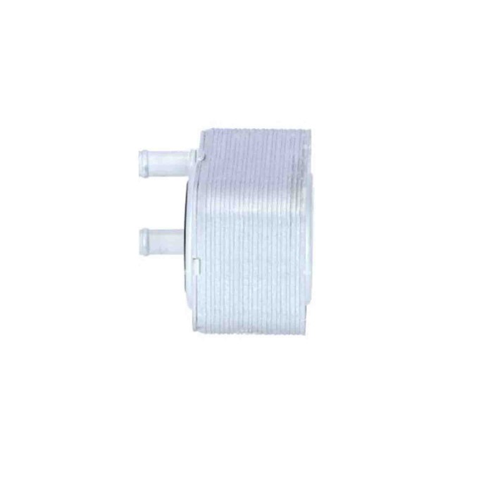 LIBRETTO_RICHIESTA_TARGA.JPG Radiatore olio, Olio motore 31168 NRF per AUDI VW SEAT SKODA