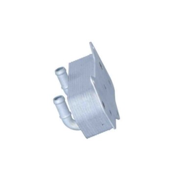 LIBRETTO_RICHIESTA_TARGA.JPG Radiatore olio, Cambio automatico 31188 NRF per AUDI VW SEAT SKODA