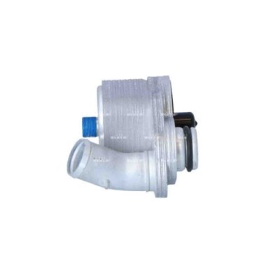 LIBRETTO_RICHIESTA_TARGA.JPG Radiatore olio, Olio motore 31324 NRF per FIAT
