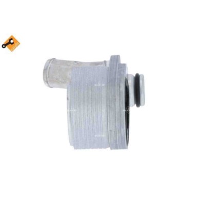 LIBRETTO_RICHIESTA_TARGA.JPG Radiatore olio, Olio motore 31325 NRF per IVECO